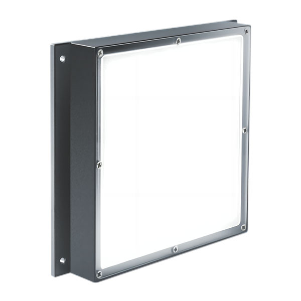 Parallel plane light source